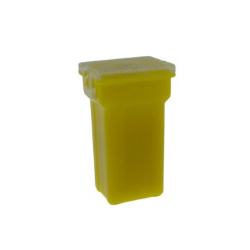 MCSPAL8 széles fejű